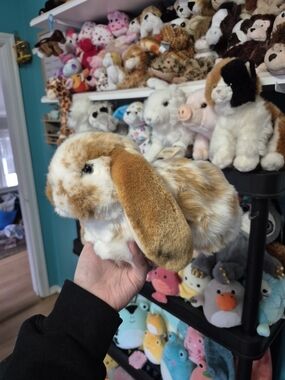 Webkinz Signature Lop Bunny